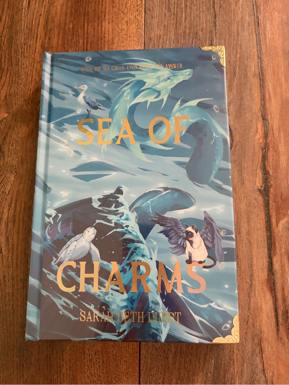 Bookish Box - Sea of Charms by Sarah Beth Durst
